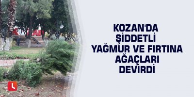 Kozan'da şiddetli yağmur ve fırtına ağaçları devirdi