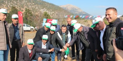 Saimbeyli’de 2 bin fidan toprakla buluştu