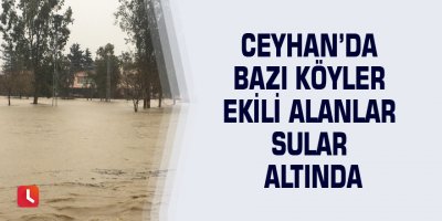 Ceyhan’da bazı köyler ekili alanlar sular altında