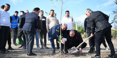 MHP ve Ülkü Ocakları'ndan "Biz Kardeşiz Ağaçlandırma Projesi"
