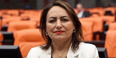 CHP'li Dr. Şevkin'den meclise kamu mühendisleri çağrısı