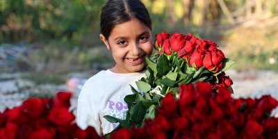 Adana'da gül hasadı yüz güldürdü