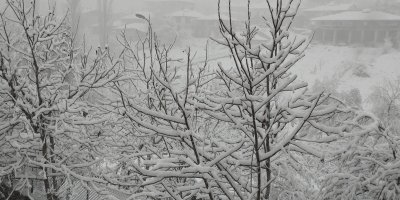 Adana'nın yüksek kesimlerinde kar yağışı başladı