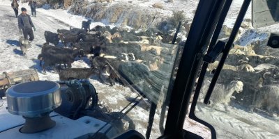 Adana’da karda mahsur kalan yayla sakinleri ve çobanlar kurtarıldı