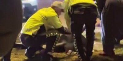 Pilot trafik kazasında hayatını kaybetti