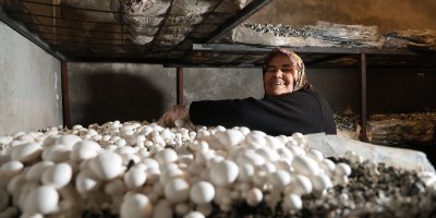 Emekli olunca hobisi ekmek teknesi oldu