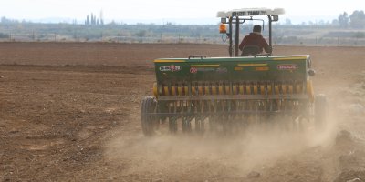 Adana'da buğday taneleri toprakla buluştu