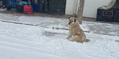 Adana'nın Tufanbeyli ilçesinde kar etkili oldu
