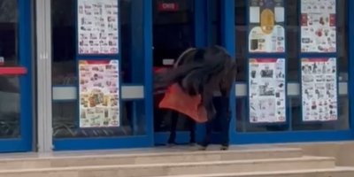 BİM'in kapısına at bağladılar