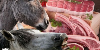 Adana’da at ve eşek eti satan seyyar işletme belli oldu