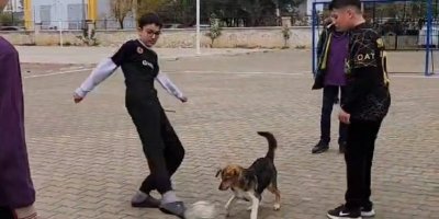 Okul bahçesine giren köpek öğrencilerle maç yaptı