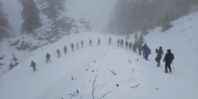 Adana'da doğaseverler Armutoluğu Yaylası'nda yürüyüş yaptı