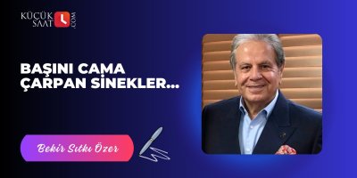 Başını Cama Çarpan Sinekler…