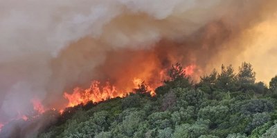 PKK'nın talimatıyla orman yakan sanığa 16 yıl 6 ay hapis cezası