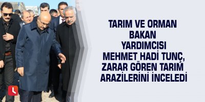 Tarım ve Orman Bakan Yardımcısı Mehmet Hadi Tunç, zarar gören tarım arazilerini inceledi