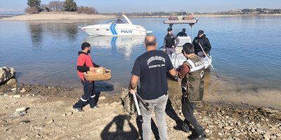 Gölde su yükseldi, mahsur kalan yavru köpekleri polis kurtardı