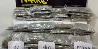 Sakatat parçalarının arasına zulalanmış 44 kilo esrar ele geçirildi