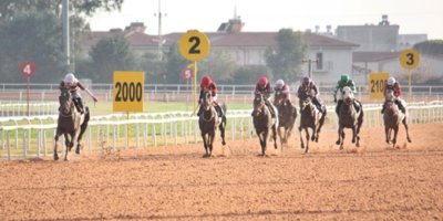 Seyhan Belediye Başkanlığı Koşusu'nda Kazanan Belli Oldu