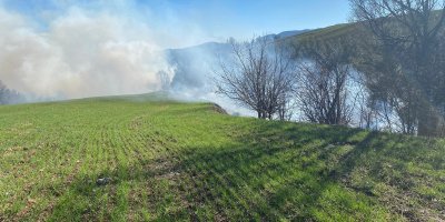 Adana'da orman yangını