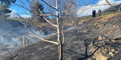 Adana'da orman yangını kontrol altına alındı