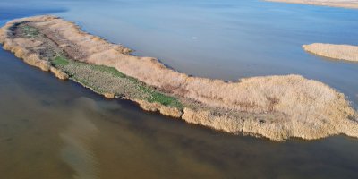 Adana'nın saklı cenneti Nergis Adası, yok olma tehlikesiyle karşı karşıya
