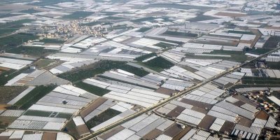 Adana'da hava bugün nasıl olacak?