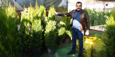 Peyzajcıdan dinlene dinlene bitkileri çaldı