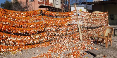 Bu meyvelerin kabuğu bile para ediyor