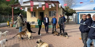 Çukurova Belediyesi’nden Sokak Hayvanlarına Özel Hizmet