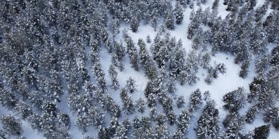 Adana'da kar yolları kapattı, kartpostallık görüntü oluşturdu