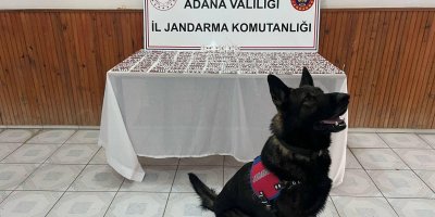 Adana'da uyuşturucu operasyonunda 1680 hap ele geçirildi