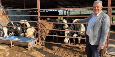 Adana'da süt üreticileri isyan etti