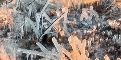 Adana’da "don" çiftçiyi vurdu