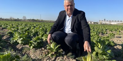 Ayhan Barut ''Doğu Akdeniz'de çiftçiler buz kesti ''