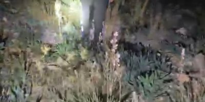 Hayvanlarını otlatmak için çıktı, ölü olarak bulundu