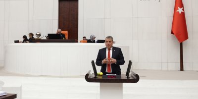 Ayhan Barut: ''8 Mart resmi tatil günü ilan edilsin"