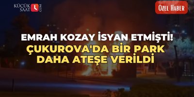 Emrah Kozay isyan etmişti! Çukurova'da bir park daha ateşe verildi