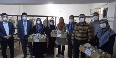 Kozan'da 30 günde bir hasat ediliyor: 'Yoğun bir talep var'