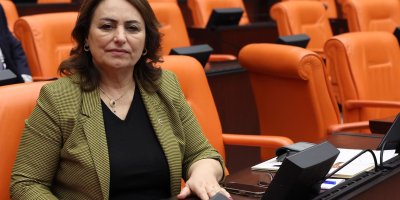 Şevkin; ''Türkiye 10 Milyar dolar kaybetti!''