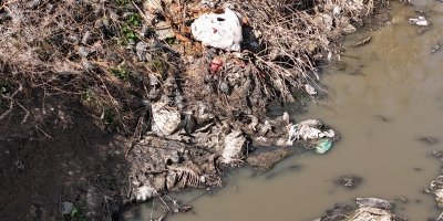Adana'da dere yatağı at ve eşek atıklarıyla dolu