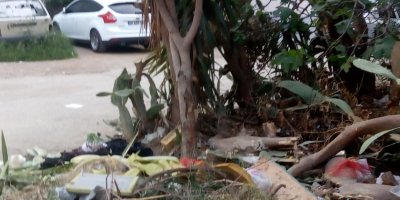 Vatandaşlardan Seyhan Belediyesi'ne çağrı; ''Fareler bastı!''