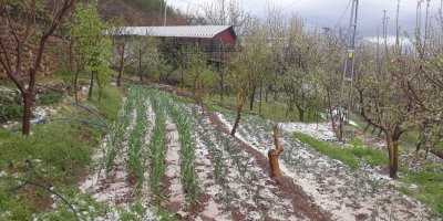 Kozan’da dolu yağışı etkili oldu