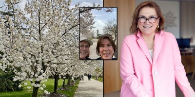 Sabancı, sakuraları görmeye gitti