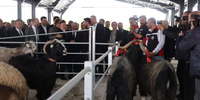 Kıran kırana kurban pazarlıklı pazar açılışı