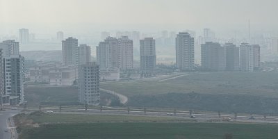 Adana'da sis etkili oldu