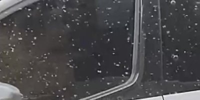 Adana'yı sinekler sardı, vatandaş isyan etti