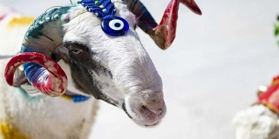 Kurbanlık kesim fiyatları ne zaman belli olacak?