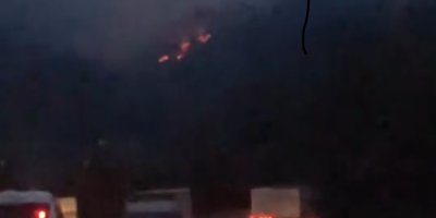 Adana’da iki noktada çıkan orman yangınları kontrol altına alındı