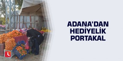 Adana’dan hediyelik portakal