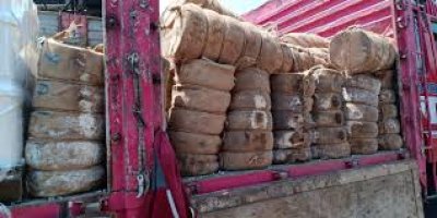 İnsanları göz göre göre zehirleyeceklerdi: Tam 7 ton imha edildi